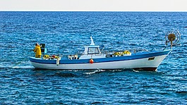 釣魚,漁船,船