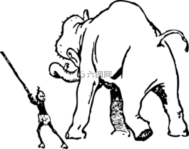 象,培訓(xùn)師,教
