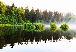 河,池,水