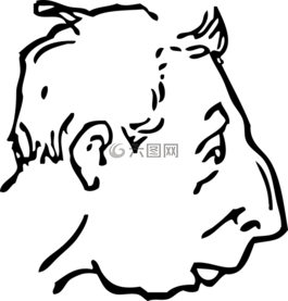 脸,鼻子,大