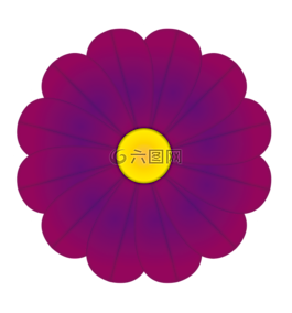 花紫色,顏色,鮮花