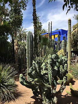 馬拉喀什,花園,廠