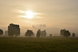晨霧,霧,景觀