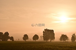晨霧,霧,景觀