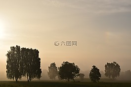 晨霧,霧,景觀