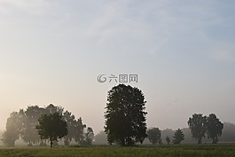 晨霧,霧,景觀