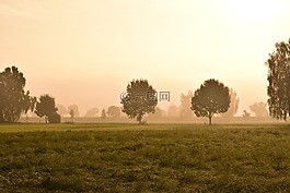 晨霧,霧,景觀