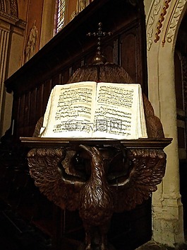 樂譜,書,工作表