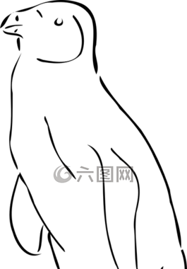 企鵝,南極洲,極點(diǎn)