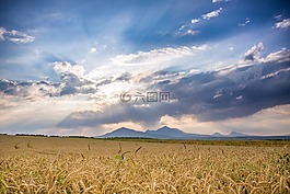 天空,景觀,性質(zhì)