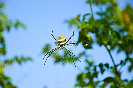 性質(zhì),空氣,免費(fèi)