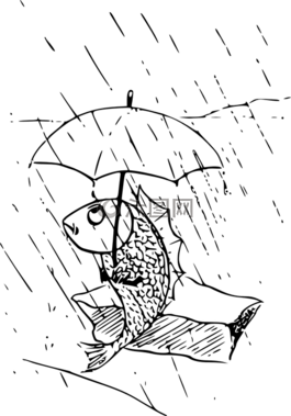 魚,控股,傘