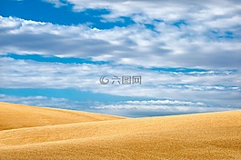全景,自然,天空