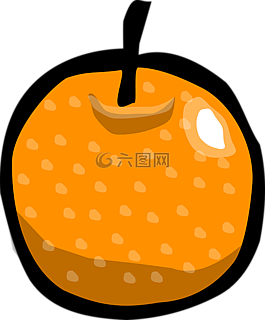 橙色,水果,柑橘