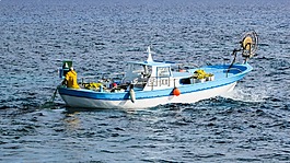 釣魚,漁船,船