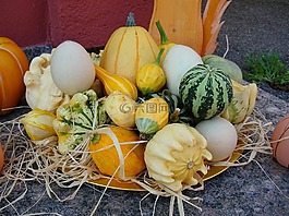 食品,南瓜,蔬菜
