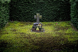 墳?zāi)?公墓,rip