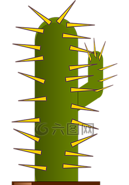 仙人掌,植物,盆栽