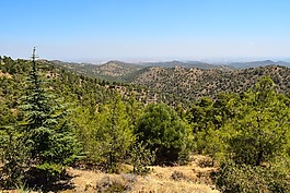 山,景觀,森林