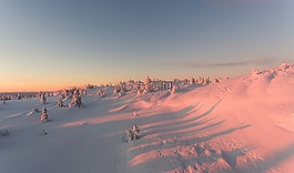 雪,冬天,山