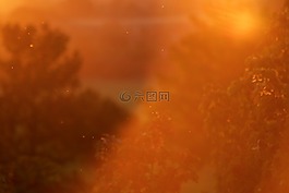 背光,心情,太陽