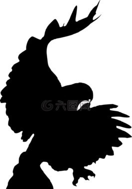 鷹,鳥(niǎo),側(cè)影