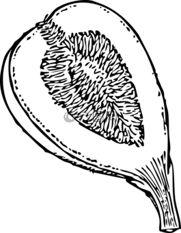 無花果,水果,部分