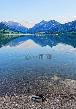 反思,湖,水