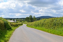 路,景觀,瀝青