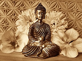 佛,休息,沉默