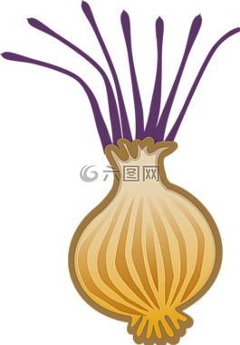 洋蔥,韭,棕色的洋蔥