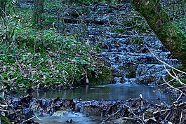 性質(zhì),過獨(dú)身生活,水