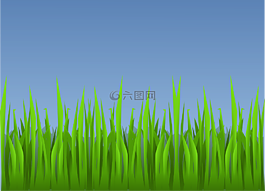 草,景觀,壁紙