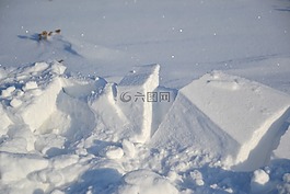 雪,冬季,弗羅斯特