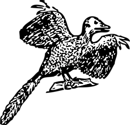 始祖鳥,鳥,史前