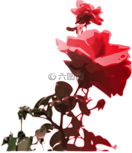 玫瑰,粉紅色,花