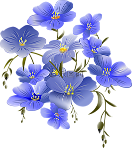 花,萊恩,petite