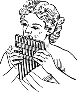 管,夫人,女子