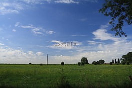 性質(zhì),草地,花多