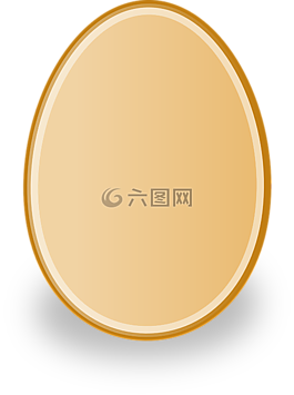 鸡蛋,家禽,鸡