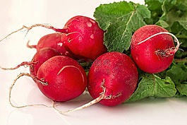 蘿卜,蔬菜,根