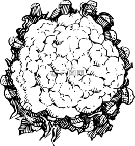 花椰菜,葉菜類,格林一家