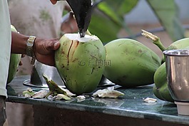 椰子,綠色,自然