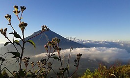 天空,自然,景觀