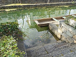 日本,河,小