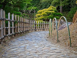 日本,花園,路徑