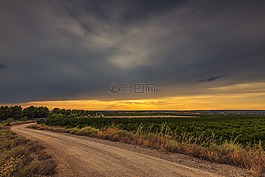 農(nóng)村公路,路徑,字段