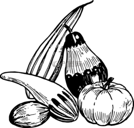 蔬菜,茄子,西葫芦