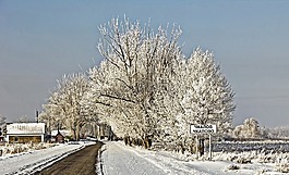 冬季,村,景觀