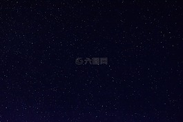星星,森林,孤独